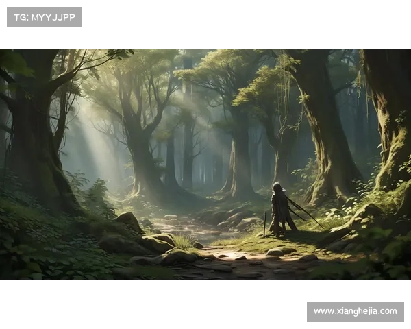 解锁波动少女3全新冒险之旅带你体验前所未有的奇幻世界与激动人心的挑战