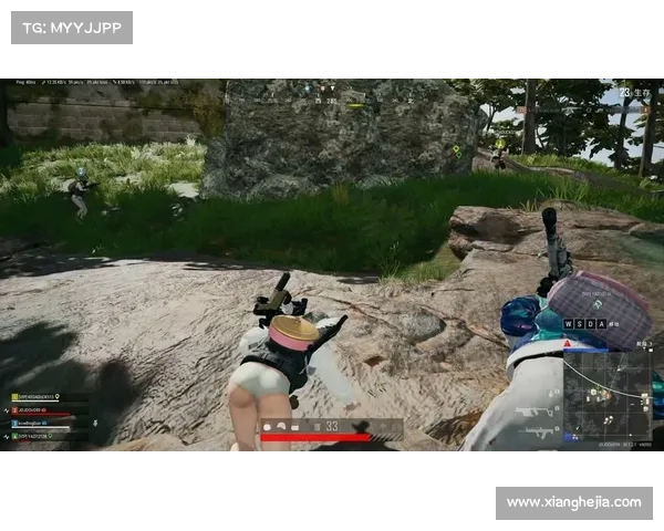 绝地求生全方位生存技巧大揭秘 完整指南助你成为最后的幸存者