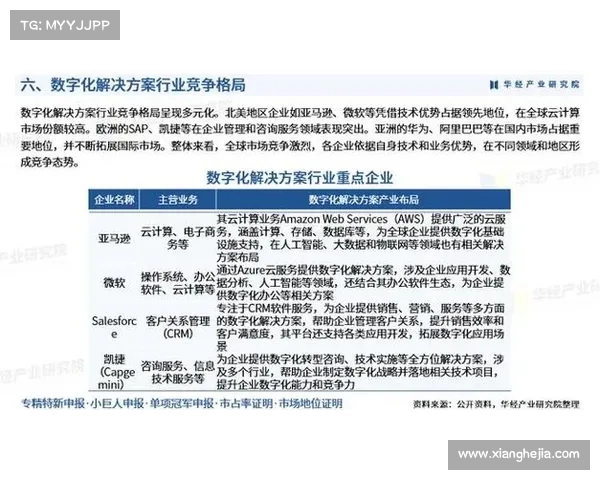 数字娱乐行业精品化发展策略探索与创新路径分析