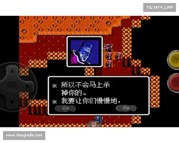 如何选择圣火徽章外传职业与战术搭配提升战力和策略性