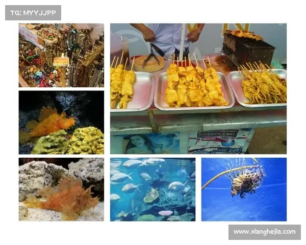 古老传说与精怪秘境探寻：走进神话与未知世界的奇幻之旅