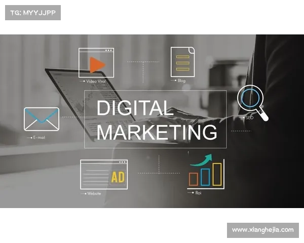 精准布局与决胜策略的深度分析与实战运用解析