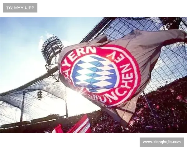 拜仁慕尼黑体育场五大知名名称背后的秘密与故事解析