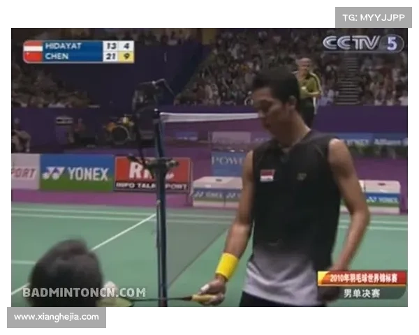 张德培队的成功秘诀与策略揭秘：从团队建设到战术执行的全面分析